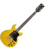 Amazon.co.jp: BLITZbyARIA ブリッツ エレキギター BLP-SPL YL ケース
